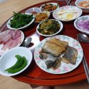 스트로마톨라이트 이미지