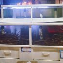 북마산주유소 이미지