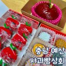 충남 예산 시장 디저트 맛집 예산사과빵상회 능금빵