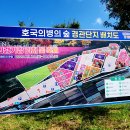 미리가본 의령 호국의병의숲 친수공원 기강 리치 꽃 축제 이미지