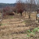 배치농장 이미지