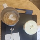 자연과 함께하는 초록 힐링 1회기 | 태백 초록별 언덕 — 사슴과 함께하는 힐링 산책 &amp; 감성 카페