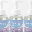 함치르르 - 정읍시 충정로 74-3 | 함치르르