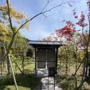 무이림3 이미지