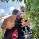 월곶자연어린이집 이미지