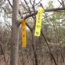 경기도 이천시청 Daum카페