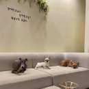 르라움 이미지