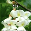 마음의 고향 이미지