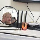 그린게스트하우스 | [제주] 한라산 등반 후기 / 한라산 게하 추천 &#39;그린게스트하우스&#39; 트윈룸 후기