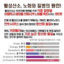 알파 카페 뉴트라 시그니쳐 블렌드 성분 이미지