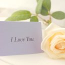 모아문구 이미지