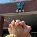 이태리 부대찌개 과천지정타점