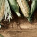 지아농장 이미지