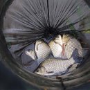 사계지낚시터 이미지