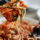 용현동물텀벙이거리 이미지