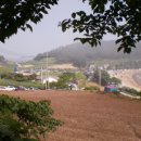 금갑해수욕장 이미지