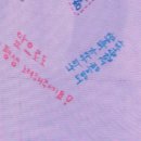 제56회 숲속의 열린 음악회 <인생 꽃같네> | 251009-11 도영 콘서트 유어스