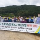 일석이조 - 당진시 | 일석이조