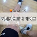 셀프케어 테이핑 건강교실 | [PAALIK] 팰릭 키네시올로지 테이프 티어 그립 배드민턴 손목 발목 무릎테이핑 리뷰