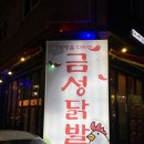 금성야식