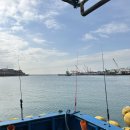 노을쭈꾸미 | [인천] 아기다리고기다리던 쭈꾸미 배낚시 체험 &#39;광복낚시&#39; 내돈내산 솔직 후기