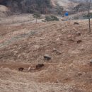 송조농원 이미지