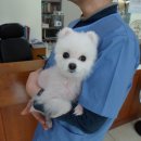 삼일교회 앞 이미지