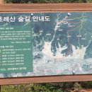 나불지공영주차장 이미지