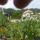 창규농장 이미지