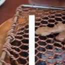 흥수갈비 이미지
