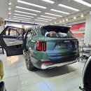 (신)유광카 | 쏘렌토 시티스케이프 그린 &amp; 버텍스 700 찰떡 조합! 블랙 엠블럼 튜닝기 (수원 카담)