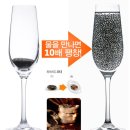 씨드팩토리 치아씨드 - 자기 무게의 10배의 물을 흡수하는 차세대 슈퍼푸드