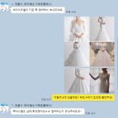 동행 플래너 없이 드레스투어 준비하기 ( 제이웨딩 추천인 : 뽀아미 )