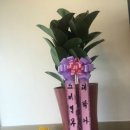 수수꽃방