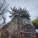 (주)한려 | 남해 금산 등산 후기｜한려해상국립공원 입구부터 보리암, 정상까지 다녀온 리얼 코스