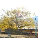 계척시목지 이미지