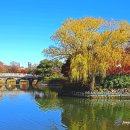 두류공원 이미지