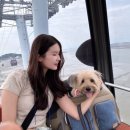 해양카써비스 | 펫츠고 애견동반 패키지여행 제부도 해양레저 체험 후기 (내돈내산)