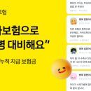 손해보험1_카카오페이