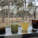 펫 유토피아 | 맛집]설연휴 이천카페 추천 포크테일 : 유토피아추모관 근처 산뷰 펫카페, 식사까지 가능한 힐링카페 후기