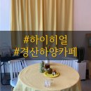 하이히얼 이미지