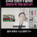 목꺾임 걱정 없는 싸이벡스 주니어카시트 솔루션T 단점 있음｜내돈내산 15개월 이상 사용후기