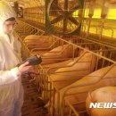 한국가축컨설팅 이미지