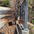 마음편한 집 | [주말나들이/양평] 애견동반가능 양평 독채 숙소 마음편한집 "햇발" 방문 후기 (4/18 토 - 4/19 일)