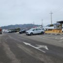 고흥-8호 이미지