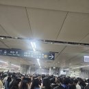 동운민박 | 라이트로그 부산여행 1탄 : 부산원아시아페스티벌(feat. 하이라이트), 본가밀면, 블랙업커피, 83해치...