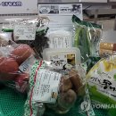 자연기업주