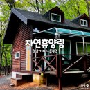 동백펜션 이미지