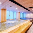 더 메디스파 이미지