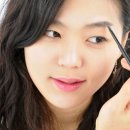 애니브로